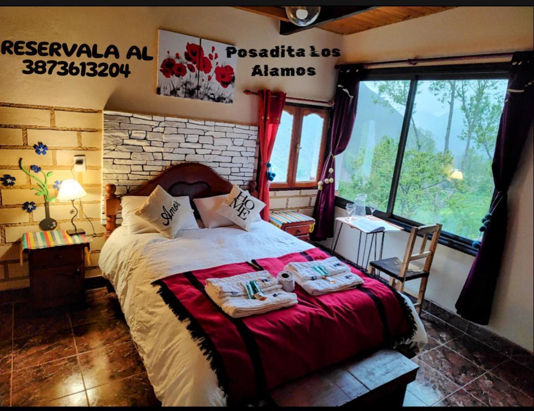 Posadita Los Alamos, Estamos En San Isidro 8Km Pasando Iruya Vea Todas Las Imagenes Antes De Reservar Mes De Mayo Hasta Noviembre Llegan Camionetas Hasta 300 Mts Del Alojamiento المظهر الخارجي الصورة